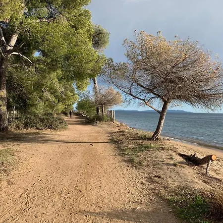 Joli T2 Proche Dans * La Londe-les-Maures
